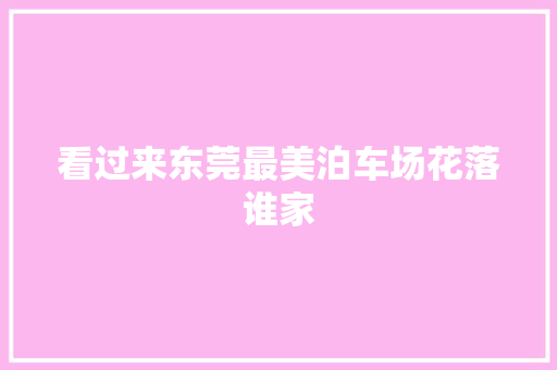 看过来东莞最美泊车场花落谁家