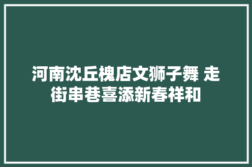 河南沈丘槐店文狮子舞 走街串巷喜添新春祥和