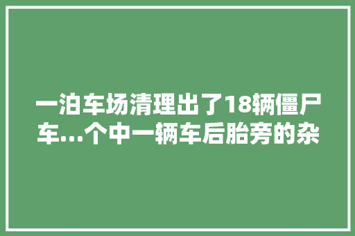 一泊车场清理出了18辆僵尸车…个中一辆车后胎旁的杂草长的比车高