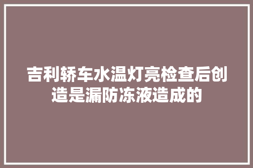 吉利轿车水温灯亮检查后创造是漏防冻液造成的