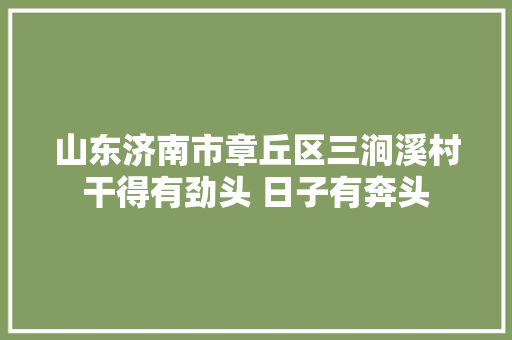 山东济南市章丘区三涧溪村干得有劲头 日子有奔头