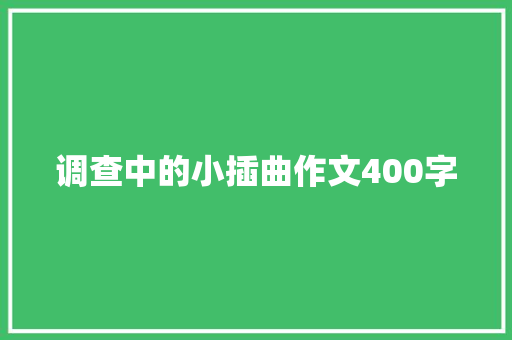 调查中的小插曲作文400字