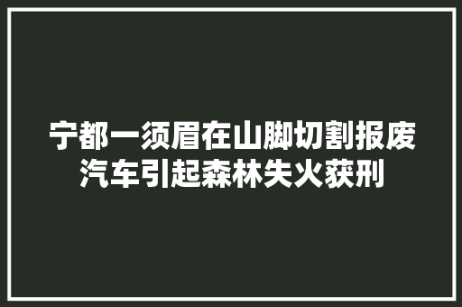 宁都一须眉在山脚切割报废汽车引起森林失火获刑