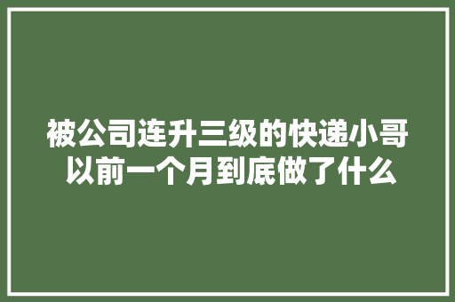 被公司连升三级的快递小哥 以前一个月到底做了什么