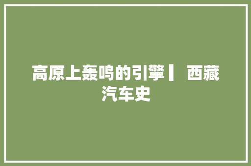 高原上轰鸣的引擎 ▎西藏汽车史