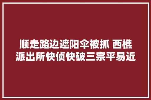 顺走路边遮阳伞被抓 西樵派出所快侦快破三宗平易近生小案