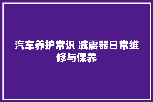 汽车养护常识 减震器日常维修与保养