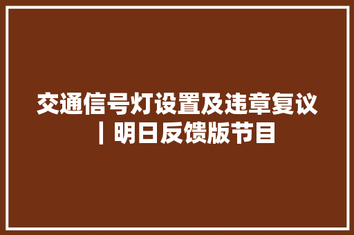 交通信号灯设置及违章复议｜明日反馈版节目