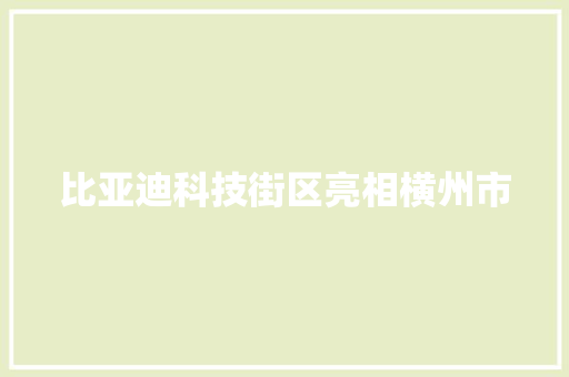 比亚迪科技街区亮相横州市