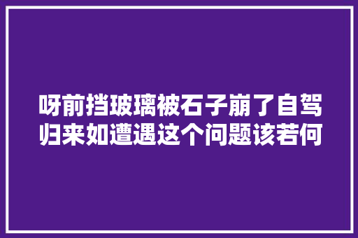 呀前挡玻璃被石子崩了自驾归来如遭遇这个问题该若何处理