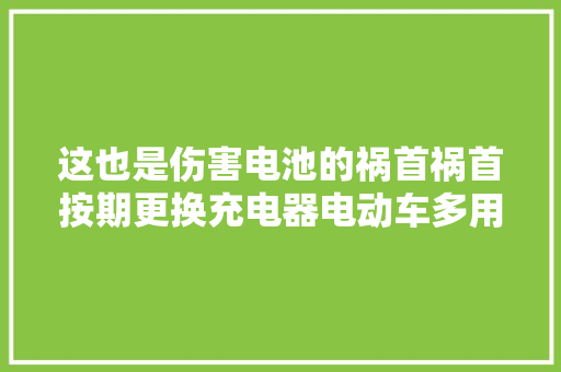 这也是伤害电池的祸首祸首按期更换充电器电动车多用2年