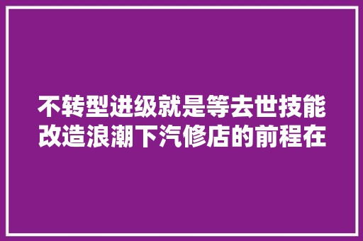 不转型进级就是等去世技能改造浪潮下汽修店的前程在哪
