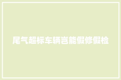 尾气超标车辆岂能假修假检