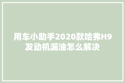 用车小助手2020款哈弗H9发动机漏油怎么解决