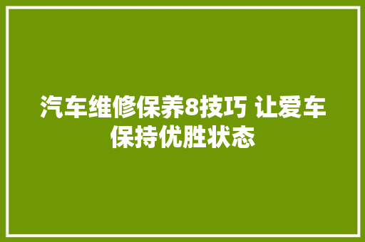 汽车维修保养8技巧 让爱车保持优胜状态