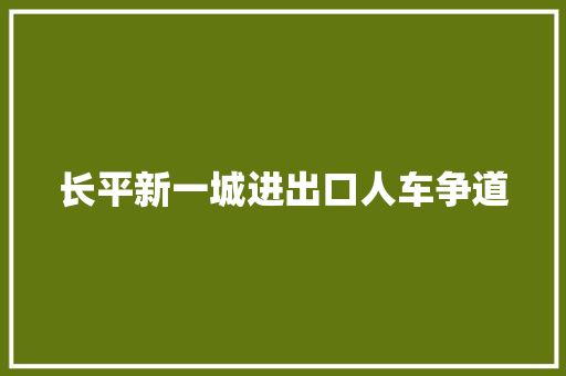 长平新一城进出口人车争道
