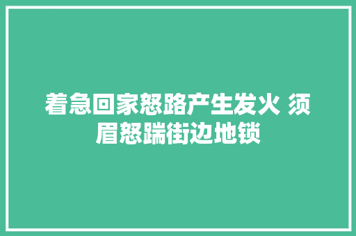 着急回家怒路产生发火 须眉怒踹街边地锁