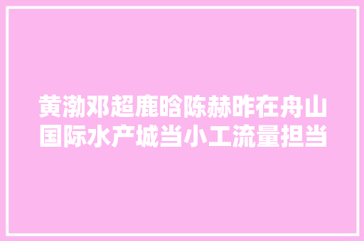 黄渤邓超鹿晗陈赫昨在舟山国际水产城当小工流量担当碰着舟山会擦出什么火花