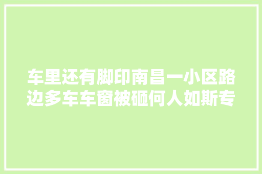车里还有脚印南昌一小区路边多车车窗被砸何人如斯专横狂