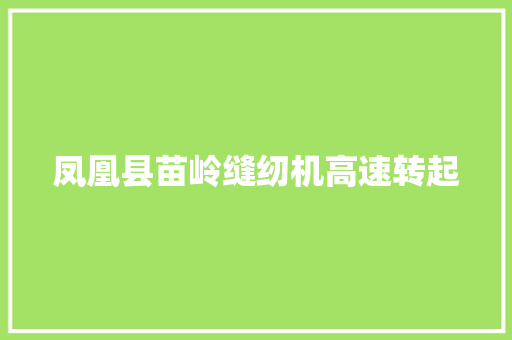 凤凰县苗岭缝纫机高速转起