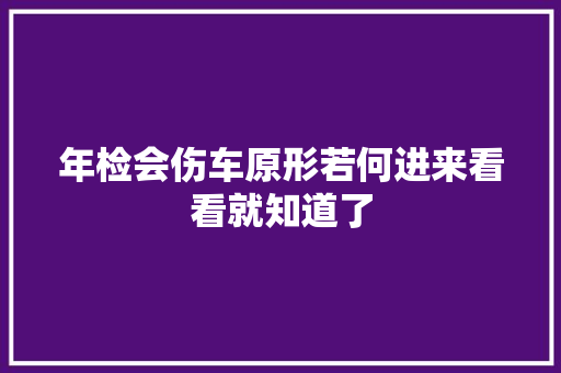 年检会伤车原形若何进来看看就知道了