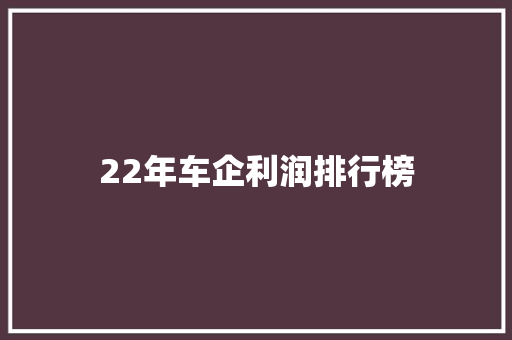 22年车企利润排行榜