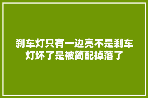 刹车灯只有一边亮不是刹车灯坏了是被简配掉落了