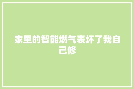 家里的智能燃气表坏了我自己修