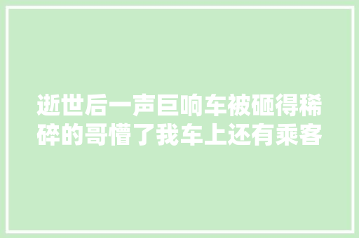 逝世后一声巨响车被砸得稀碎的哥懵了我车上还有乘客