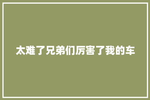 太难了兄弟们厉害了我的车