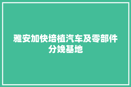 雅安加快培植汽车及零部件分娩基地