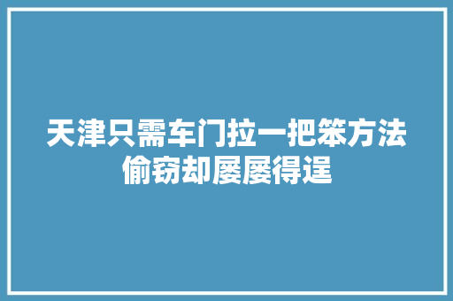 天津只需车门拉一把笨方法偷窃却屡屡得逞