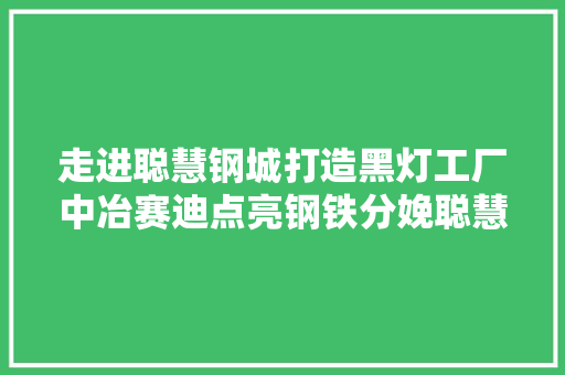 走进聪慧钢城打造黑灯工厂中冶赛迪点亮钢铁分娩聪慧时代