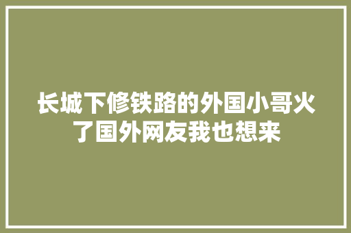 长城下修铁路的外国小哥火了国外网友我也想来