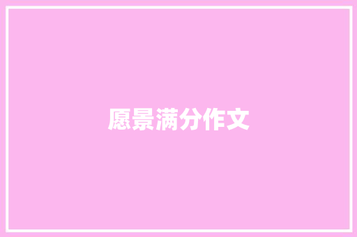 愿景满分作文