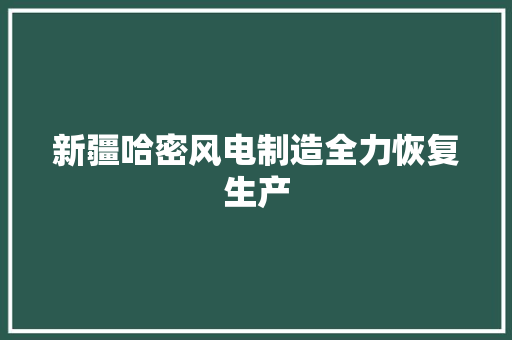 新疆哈密风电制造全力恢复生产