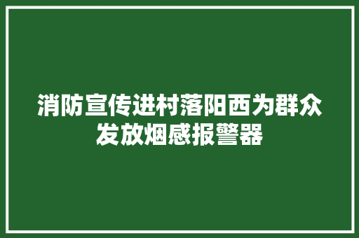 消防宣传进村落阳西为群众发放烟感报警器