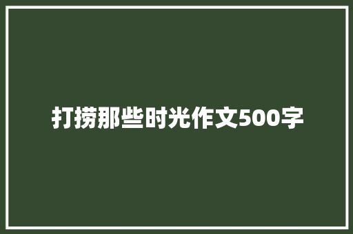 打捞那些时光作文500字
