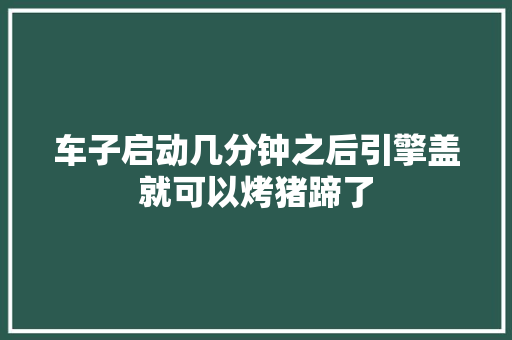 车子启动几分钟之后引擎盖就可以烤猪蹄了