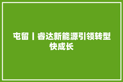屯留丨睿达新能源引领转型快成长
