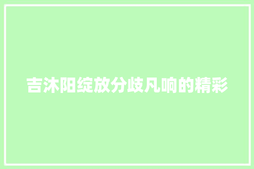 吉沐阳绽放分歧凡响的精彩