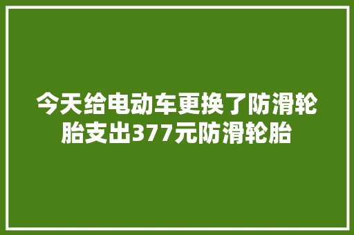 今天给电动车更换了防滑轮胎支出377元防滑轮胎