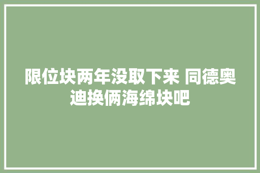 限位块两年没取下来 同德奥迪换俩海绵块吧