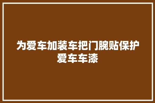为爱车加装车把门腕贴保护爱车车漆
