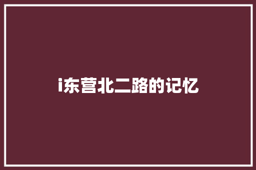 i东营北二路的记忆