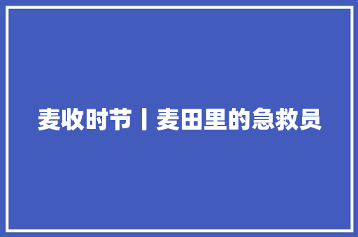 麦收时节丨麦田里的急救员