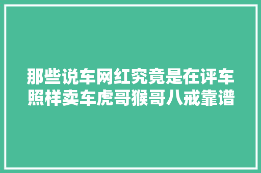 那些说车网红究竟是在评车照样卖车虎哥猴哥八戒靠谱吗