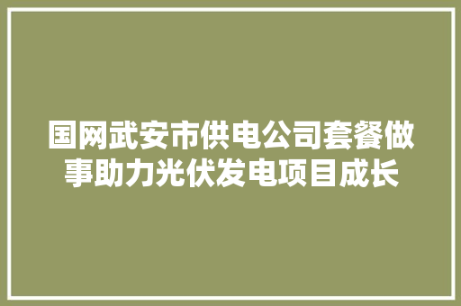国网武安市供电公司套餐做事助力光伏发电项目成长