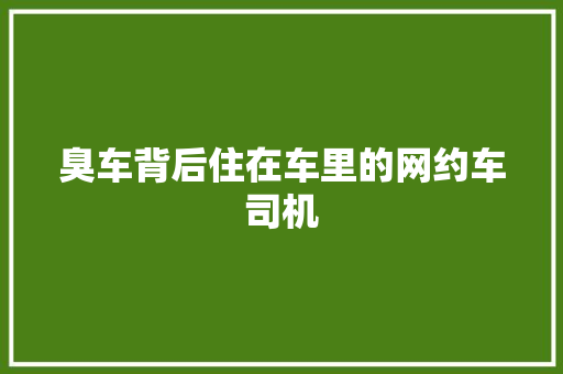 臭车背后住在车里的网约车司机