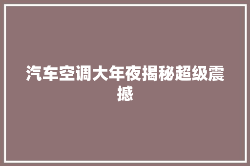汽车空调大年夜揭秘超级震撼